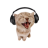 hiiii