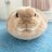 Somebunny